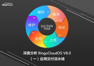 BingoCloudOS V8.0 应用交付流水线功能实践
